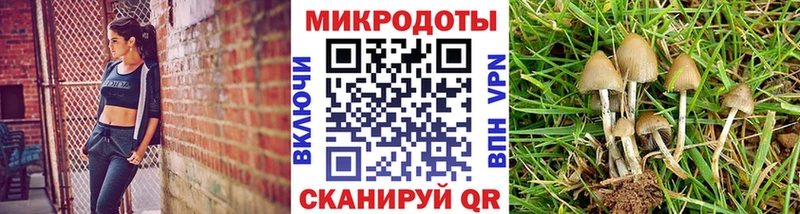 hydra ССЫЛКА  Альметьевск  Галлюциногенные грибы Cubensis 