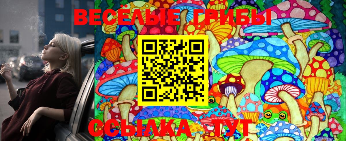 Псилоцибиновые грибы Cubensis Альметьевск