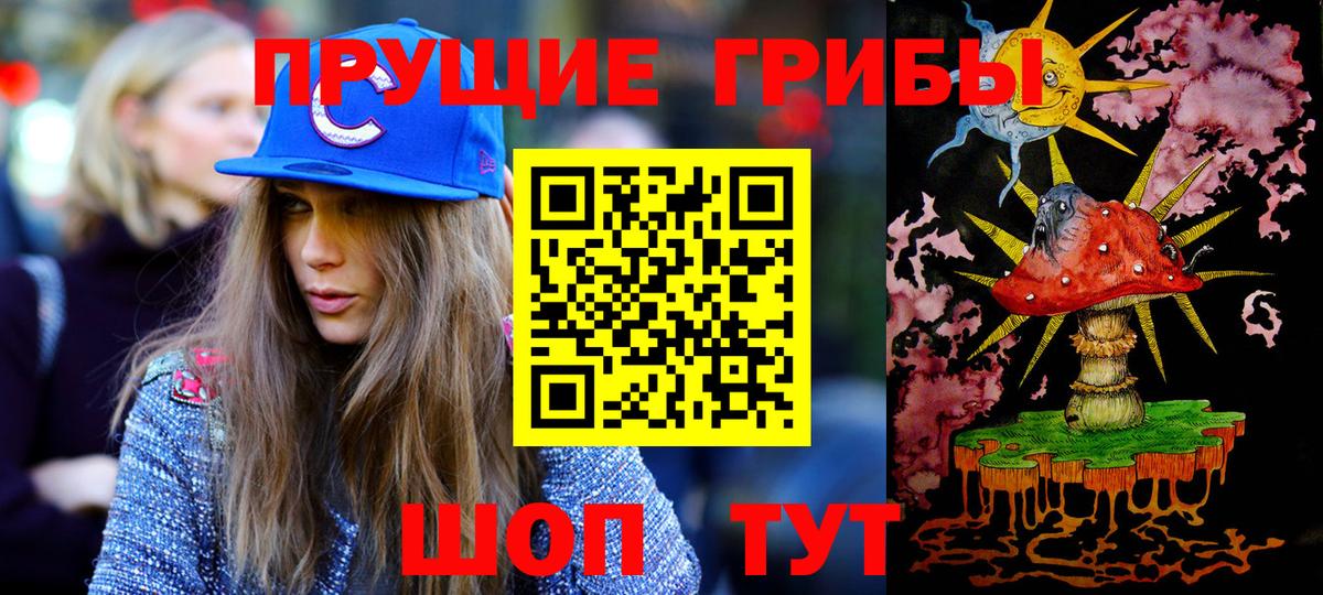 Псилоцибиновые грибы Psilocybe  Псилоцибиновые грибы Cubensis  Альметьевск 