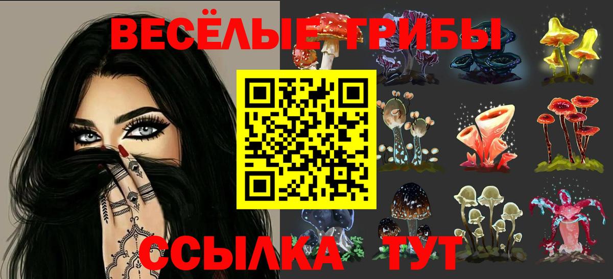 Псилоцибиновые грибы GOLDEN TEACHER  Вход с VPN  Альметьевск 